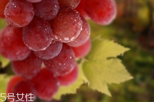 葡萄籽泡水喝有作用嗎？美容保健