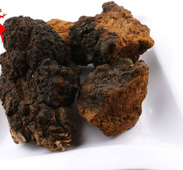 樺樹茸怎么吃？樺樹茸正確吃法