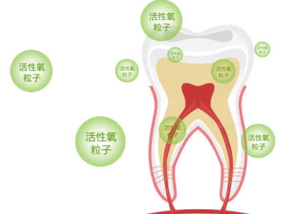 牙貼怎么分上下牙貼？牙貼怎么分正反