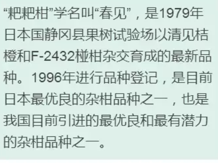 枇杷柑是丑橘嗎？枇杷柑和丑橘的區(qū)別