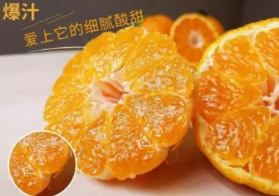 丑八怪可以放冰箱嗎？丑八怪怎么保存
