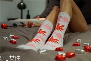 楓葉襪子正品多少錢？楓葉襪子價格詳情