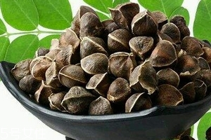 辣木籽哪里產(chǎn)的好？哪里的辣木籽最好？