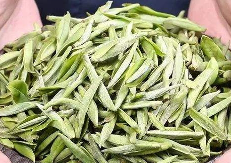 白茶什么時(shí)候開始壓餅 白茶新茶還是陳放后壓餅