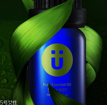 尤加利精油味道是什么？好聞嗎