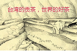 四云奶蓋貢茶哪個好喝？四云奶蓋貢茶點(diǎn)單攻略