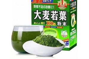 大麥若葉青汁小孩可以喝嗎？