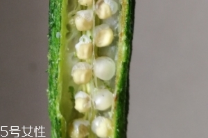 秋葵干好吃嗎？秋葵干怎么吃？
