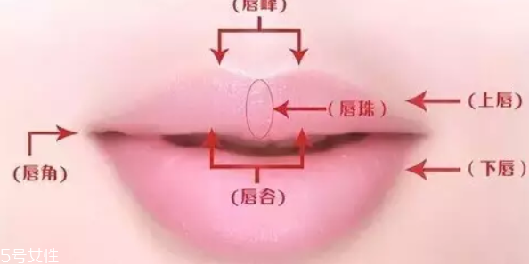 2018流行什么唇形 2018流行唇形盤(pán)點(diǎn)
