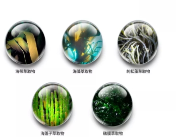 jm防曬噴霧什么味道？jmsolution防曬噴霧好聞嗎？