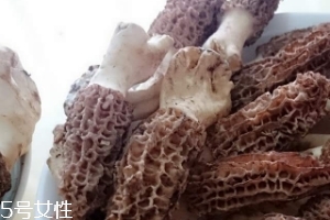 羊肚菌是什么東西？羊肚菌能吃嗎？