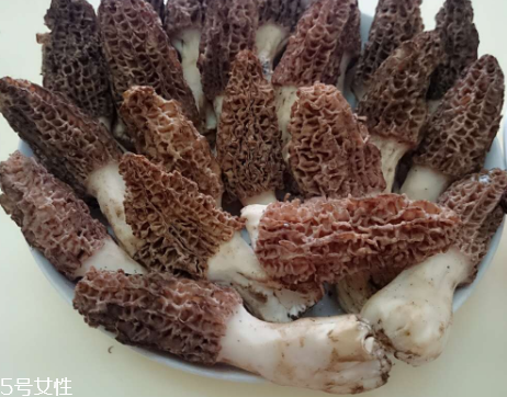 羊肚菌是什么東西？羊肚菌能吃嗎？