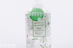 香體噴霧哪個(gè)牌子好？香體噴霧排行榜