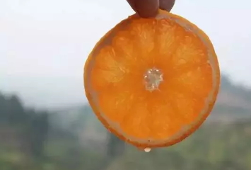 青見柑橘上火嗎？青見柑橘一天吃幾個(gè)好