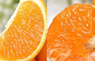 青見柑橘好吃嗎？青見柑橘酸嗎
