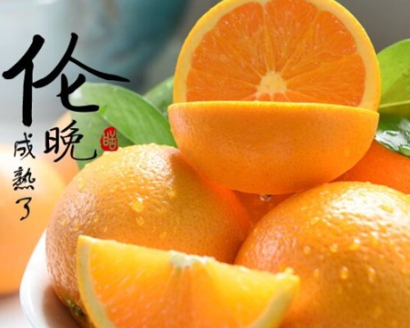 倫晚臍橙和夏橙哪個好？倫晚臍橙和其他橙子的區(qū)別