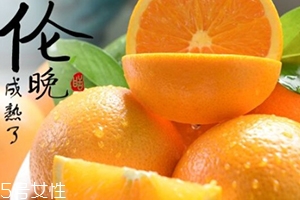 倫晚臍橙口感是酸的還是甜的？倫晚臍橙好吃嗎