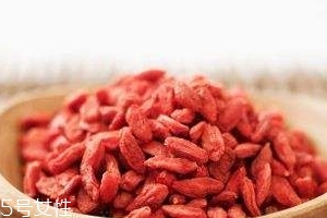 枸杞是哪個地方的特產(chǎn)？哪里產(chǎn)的枸杞好？
