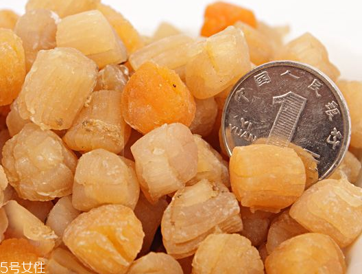 干貝是瑤柱嗎？干貝跟瑤柱的區(qū)別