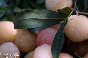 白楊梅好還是紅楊梅好吃？白楊梅和紅楊梅對比