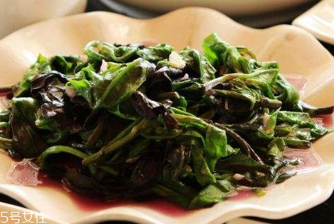 觀(guān)音菜什么人不能吃 觀(guān)音菜的適用人群