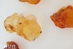 桃膠能生吃嗎？生吃桃膠可以嗎？