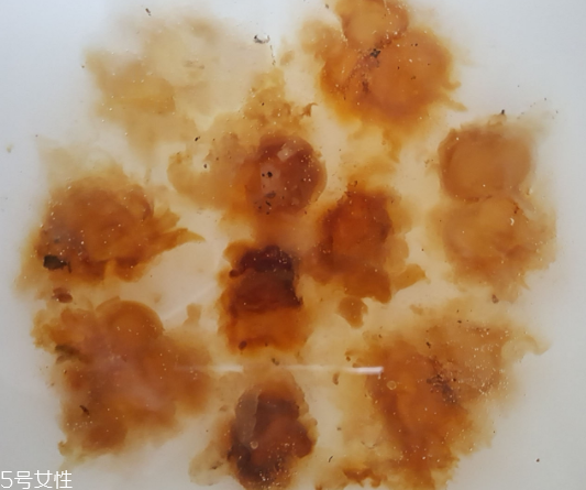桃膠能生吃嗎？生吃桃膠可以嗎？