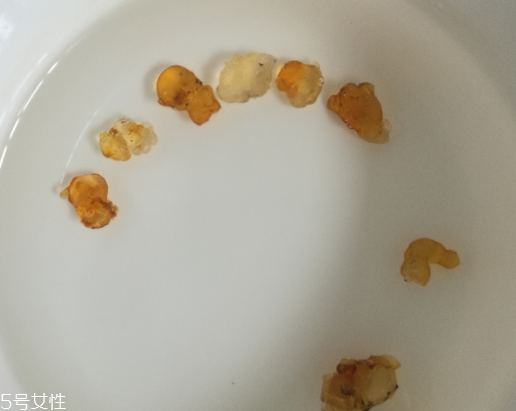 桃膠能和紅糖一起煮嗎？桃膠煮紅糖好嗎？