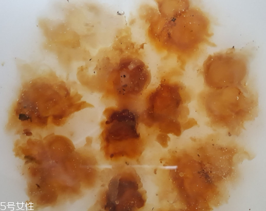 桃膠可以用開(kāi)水泡嗎？用開(kāi)水泡桃膠好嗎？