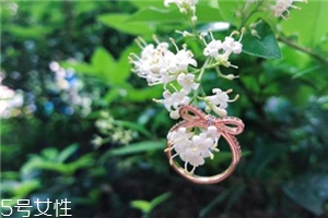 戒指掉進(jìn)下水道怎么辦？戒指掉下水道了怎么撿