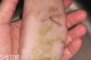 魷魚是海鮮嗎？魷魚屬于海鮮嗎？