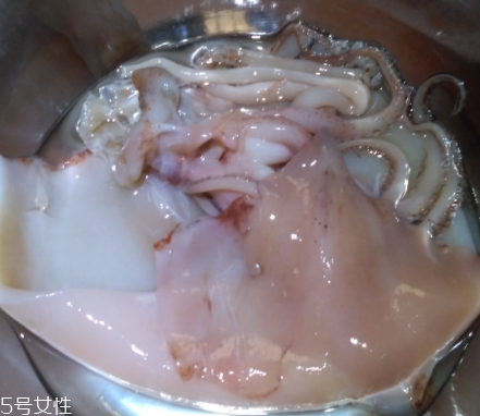 魷魚是海鮮嗎？魷魚屬于海鮮嗎？
