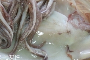 魷魚是烏賊嗎？魷魚跟烏賊是一種嗎？