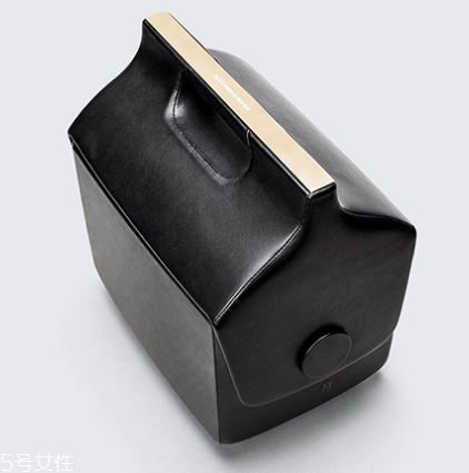 alexander wang與夢龍合作款包包多少錢_在哪買？