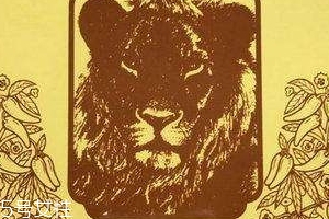 德國(guó)辣椒膏藥怎么樣？德國(guó)辣椒膏藥使用方法