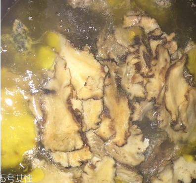 烏骨雞是烏雞嗎？烏骨雞是什么雞？