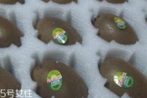 綠心獼猴桃硬的能吃嗎？硬的綠心獼猴桃能吃嗎？