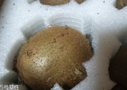 綠心獼猴桃硬的能吃嗎？硬的綠心獼猴桃能吃嗎？
