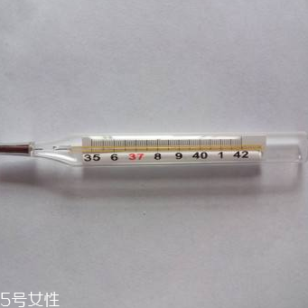 體溫計多少錢？體溫計價格