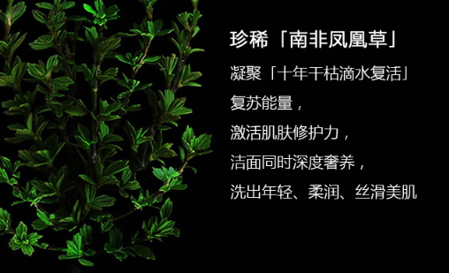 阿瑪尼洗面奶怎么樣？阿瑪尼洗面奶評(píng)測(cè)