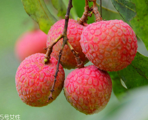 荔枝是涼性還是熱性？月經(jīng)來了能吃荔枝嗎
