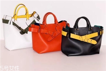 burberry the belt bag多少錢(qián)？巴寶莉貝爾特包專柜價(jià)格