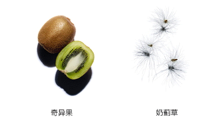 嬌韻詩雙萃精華多少錢？嬌韻詩雙萃精華容量
