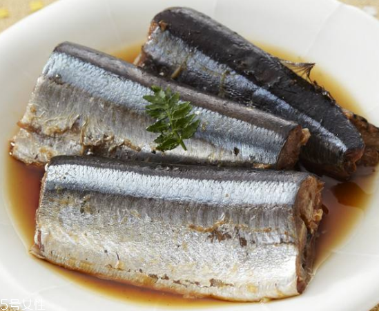 青魚怎么釣？青魚可以用什么餌料？