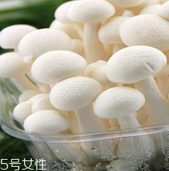 白玉菇的營養(yǎng)價(jià)值 白玉菇有什么營養(yǎng)？