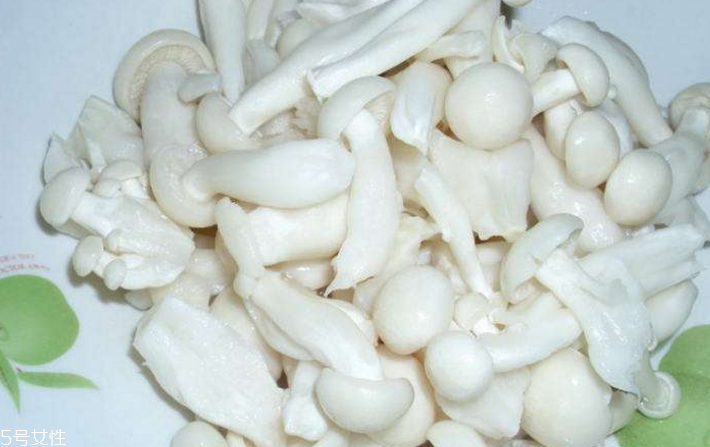 白玉菇為什么是苦的？白玉菇怎么會苦？