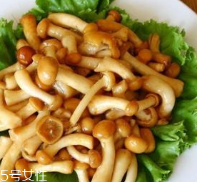 滑子菇的功效 滑子菇有什么作用？