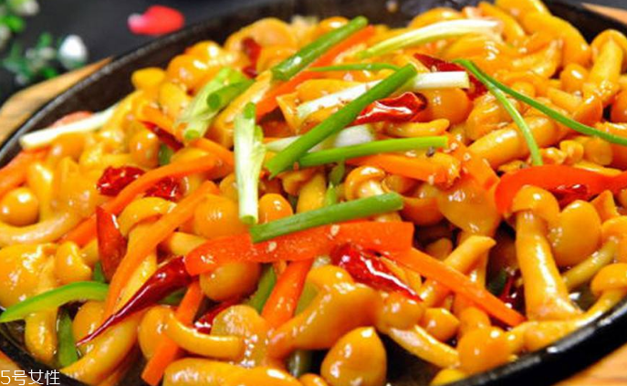 滑子菇野生和滑子菇養(yǎng)殖的區(qū)別 野生滑子菇的好嗎？