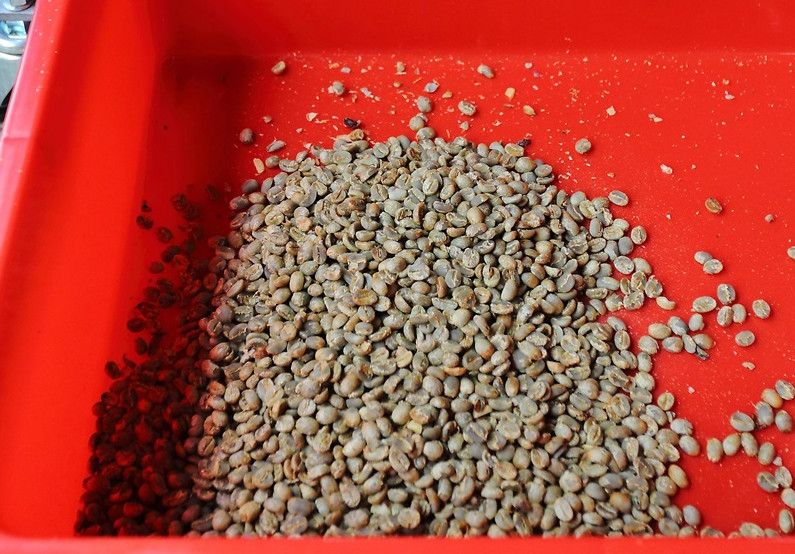 咖啡豆新豆、舊豆、老豆各有什么特色