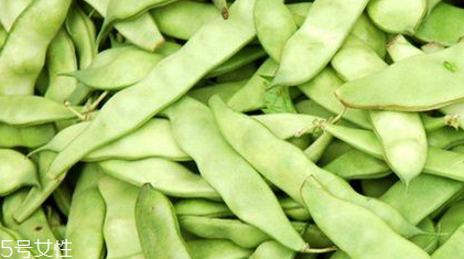 蕓豆是什么？蕓豆是豆角嗎？